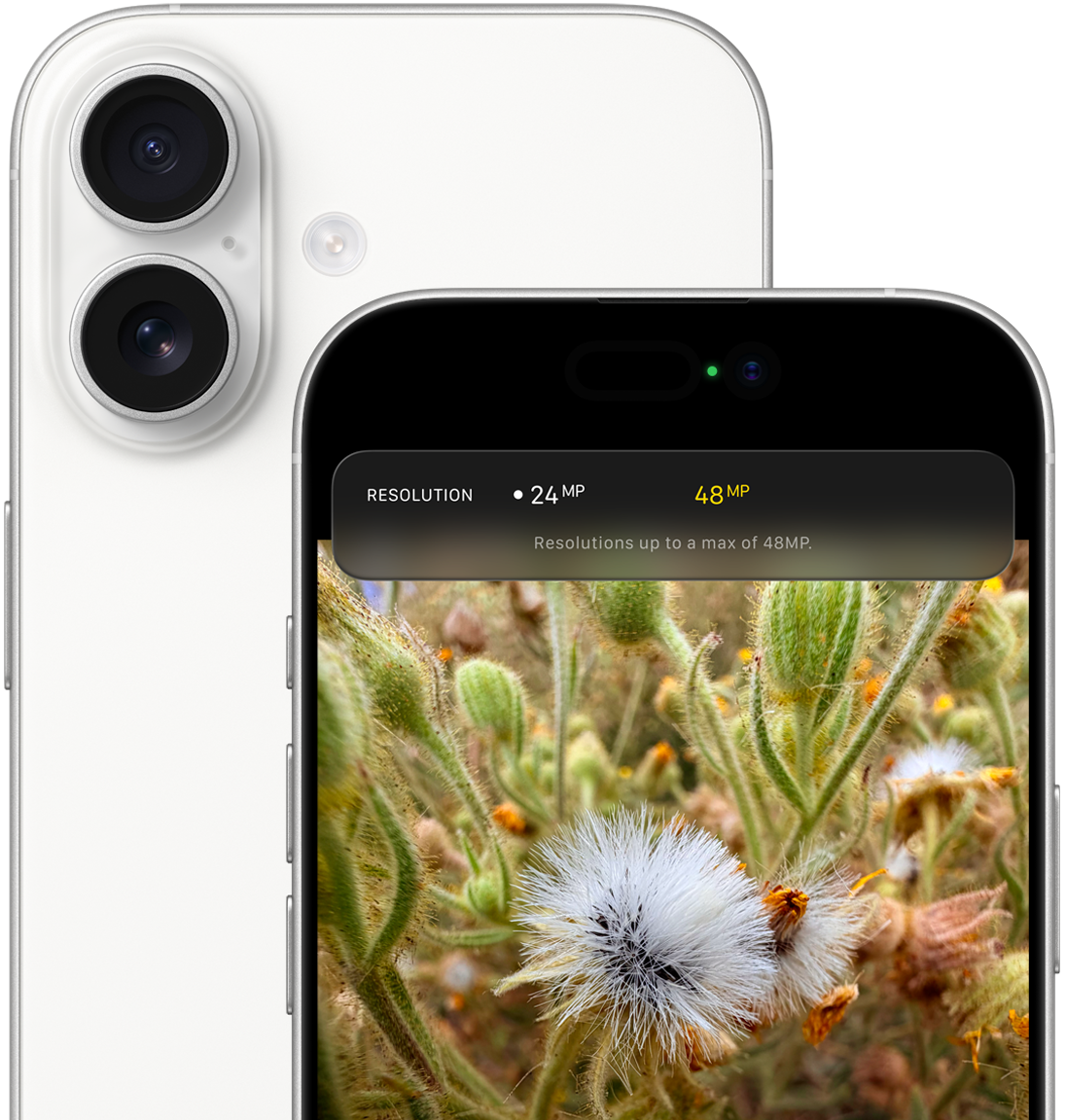 iPhone 16 Pro view 3